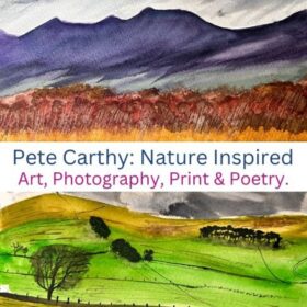 Nature Journaling in watercolour