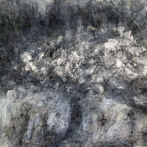 Alternative view of The Wonders of Charcoal