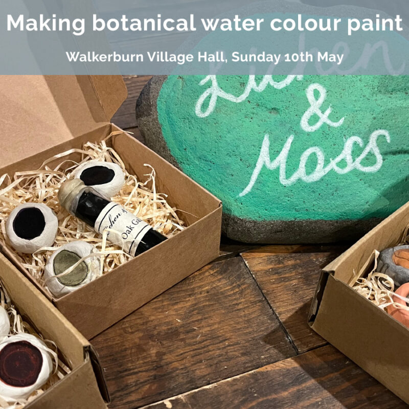 Learn to make botanical water colour paints and pigments
